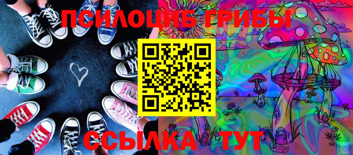 Галлюциногенные грибы Psilocybine cubensis Белово